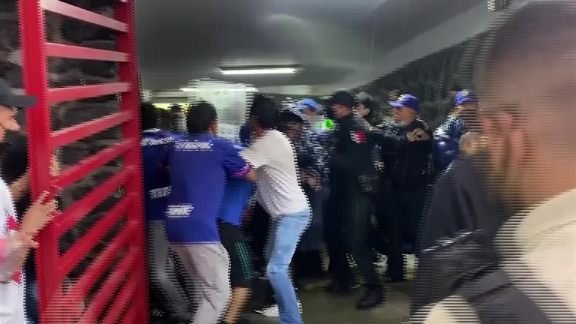 Houston Astros fans brawl despite team's win against the Minnesota Twins -  MarcaTV