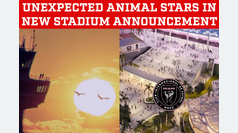 Lionel Messi and Inter Miami fans stunned by unexpected animal in new stadium announcement