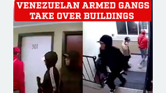 Armed venezuelan gangs seize buildings near Denver