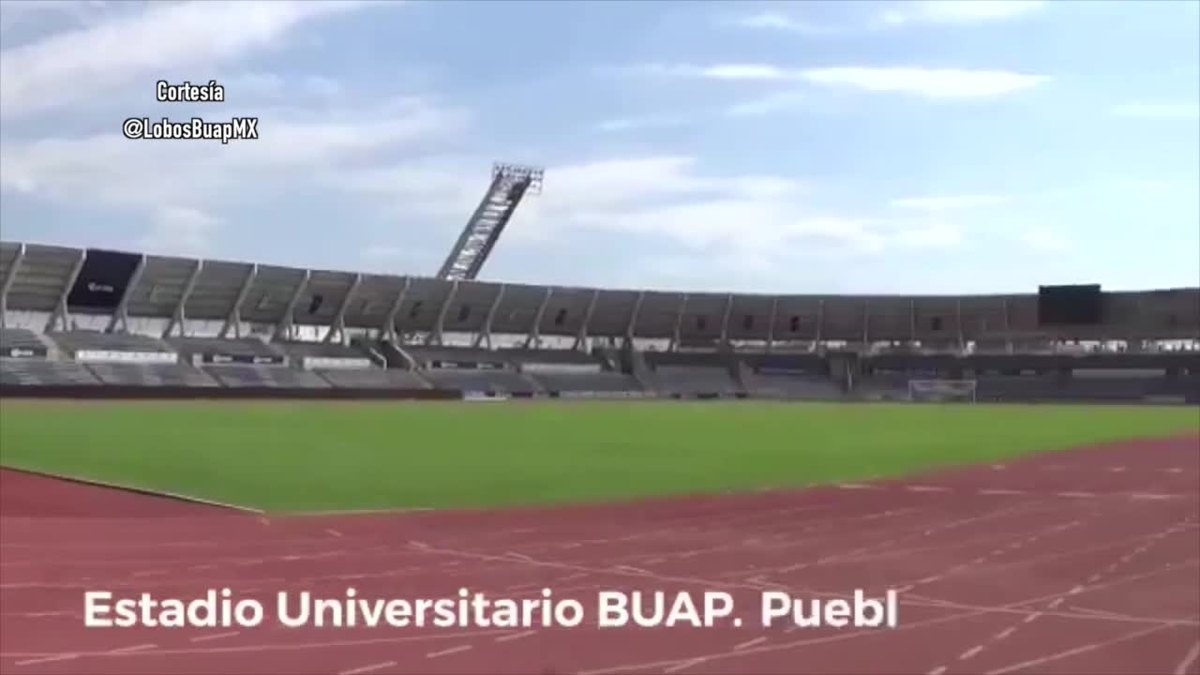 Video Lobos BUAP - MarcaTV