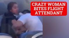 Woman on plane bites United Airlines flight attendant in violent outburst - VIDEO