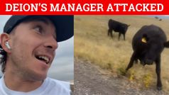 Deion Sanders' manager attacked by cows in Colorado wilderness - VIDEO