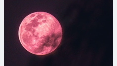 CDMX: As luce la Luna Rosa este 23 de abril en la Ciudad de Mxico