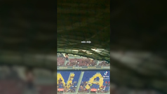 Una 'tiktoker' va a ver al Barça al Gamper... ¡y descubre ratas en el Camp Nou!