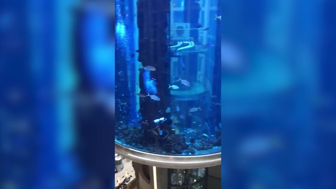 Revienta el acuario cilíndrico más grande del mundo y vierte más de 1. ...