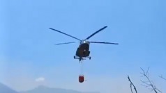 Perro se hace viral tras ser baado por un helicptero durante combate a incendios en Veracruz