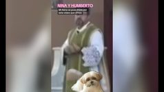  Un sacerdote entra en clera cuando ve a un perro en su iglesia: ?Les ponemos reclinatorios tambin??