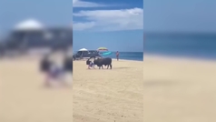 Brutal embestida de un toro suelto a una mujer en una playa