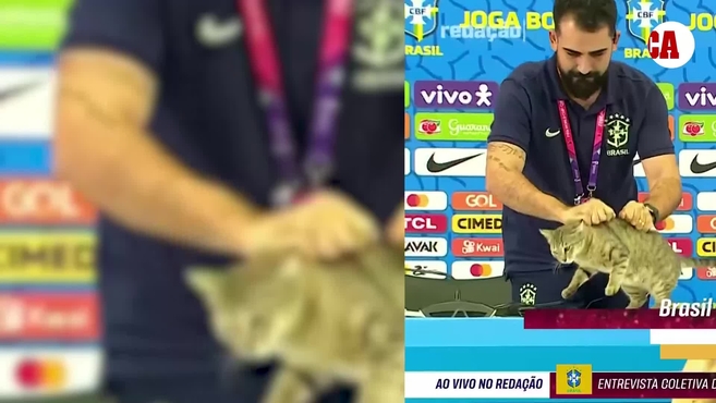 La maldición del gato que persigue a Brasil: no es el primero que la sufre en el fútbol