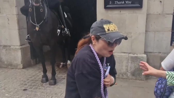 Una turista recibe un mordisco de un caballo de la Guardia Real en Londres,  qu normas hay para acercarse a ellos? | Marca