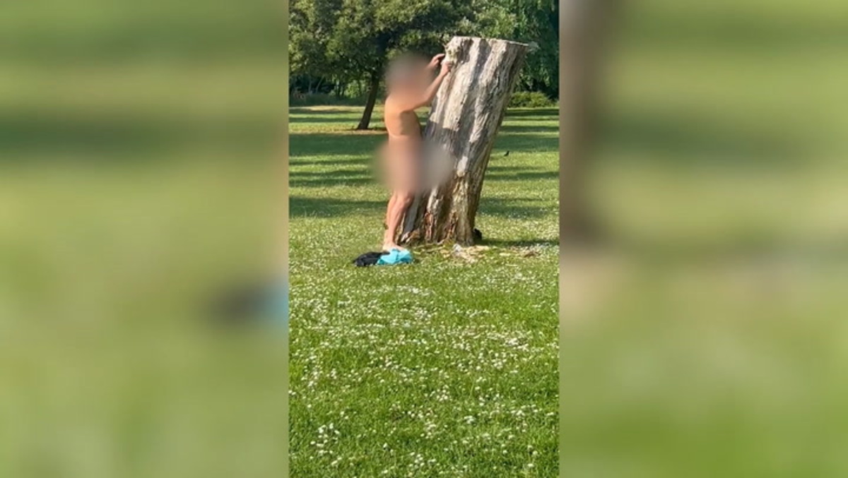 Un hombre desnudo es detenido, en un parque, teniendo sexo apasionado...  ¡¡¡con un árbol!!! - MARCA USA