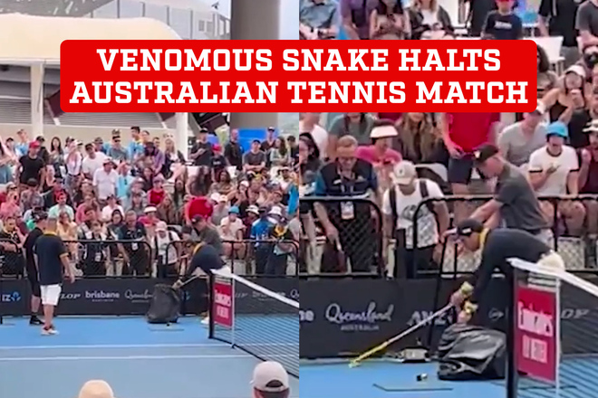 Australian tennis on sale matches today