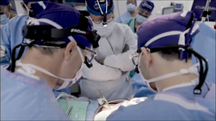 Cirujanos de Nueva York trasplantan un riñón de cerdo a un hombre con muerte cerebral