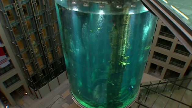 Estalla en Berlín el acuario cilíndrico más grande del mundo - EXPANSIONTV