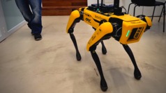 El perro robot que baila y sube escaleras de Boston Dynamics llega a la industria española