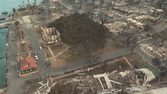 El milagro de los dos árboles centenarios que han sobrevivido al devastador incendio de Hawai